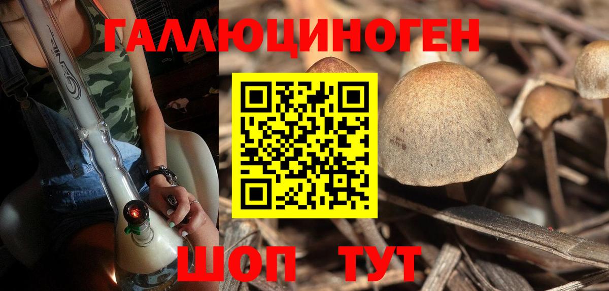 Псилоцибиновые грибы GOLDEN TEACHER  Вход с VPN  Самара  Галлюциногенные грибы Psilocybine cubensis 