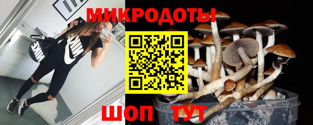 Псилоцибиновые грибы мицелий Самара